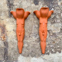 Terra Cotta Wallflower