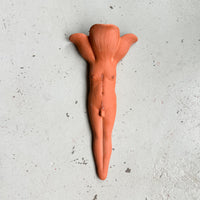 Terra Cotta Wallflower