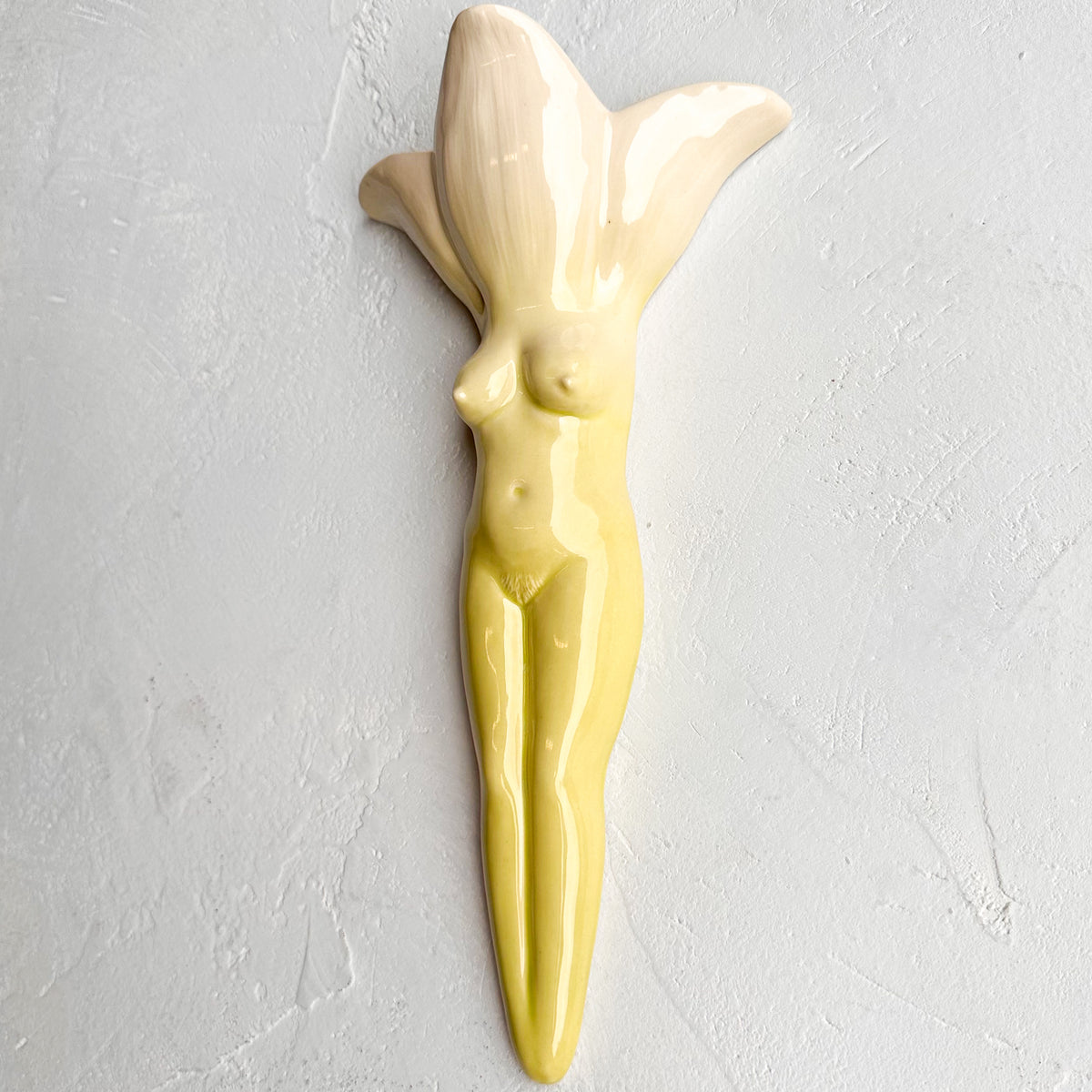 Wallflower 20