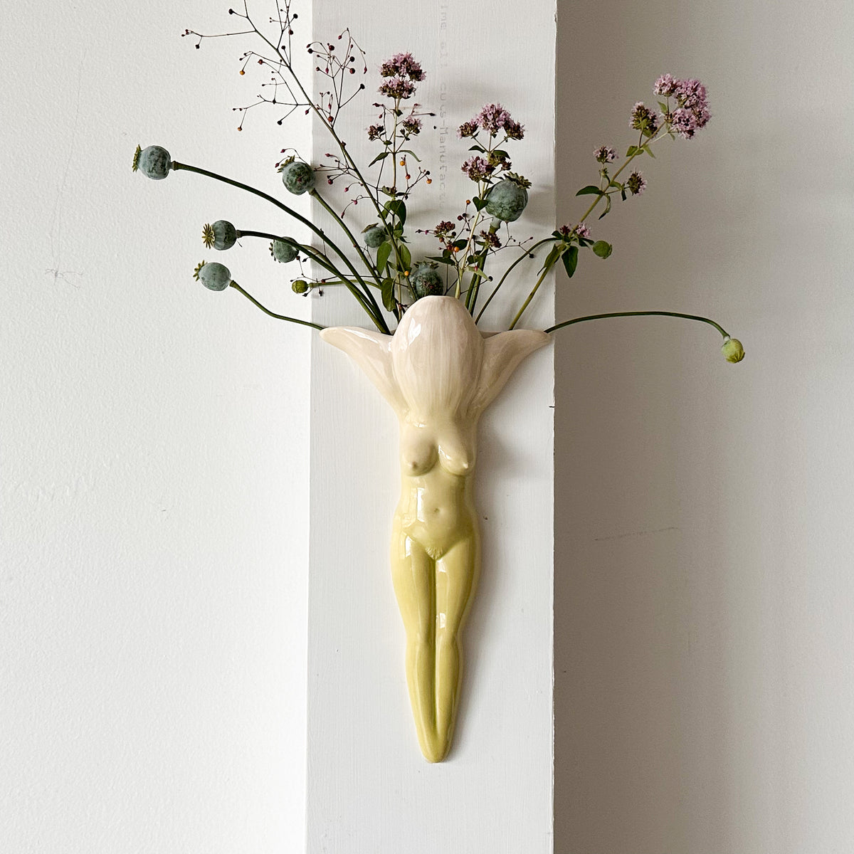 Wallflower 20