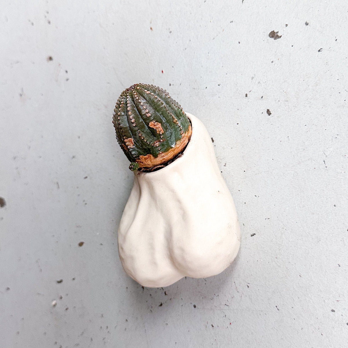 Wall Balls