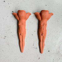 Terra Cotta Wallflower