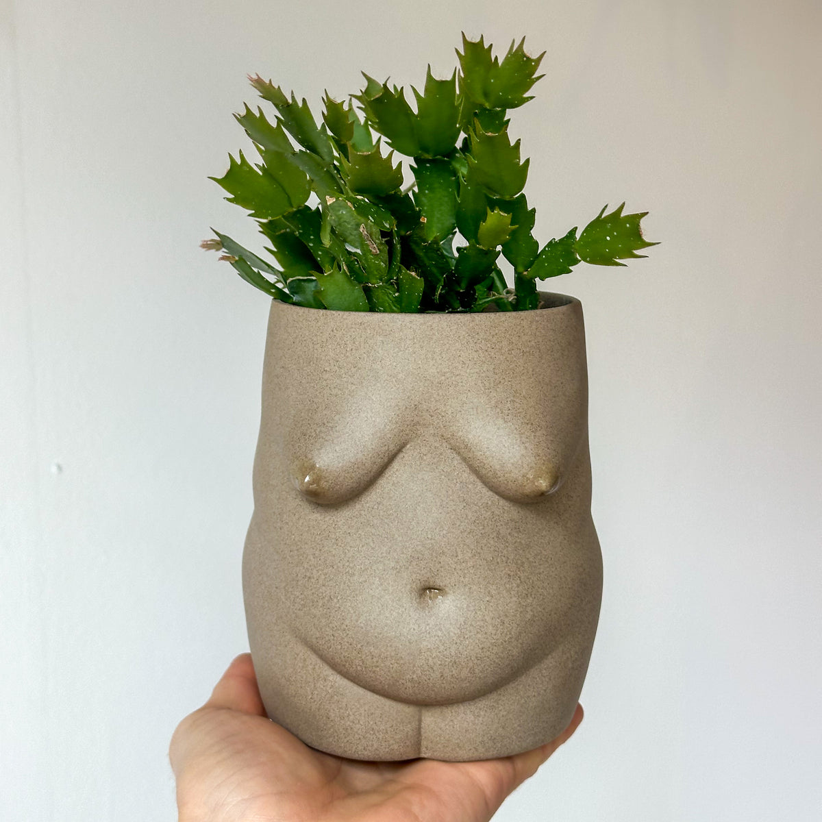 Greta Planter
