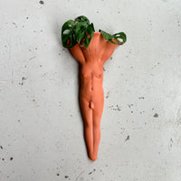 Terra Cotta Wallflower