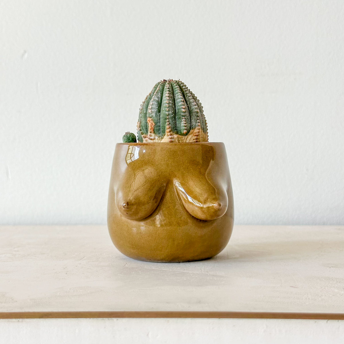 Evangeline Planter