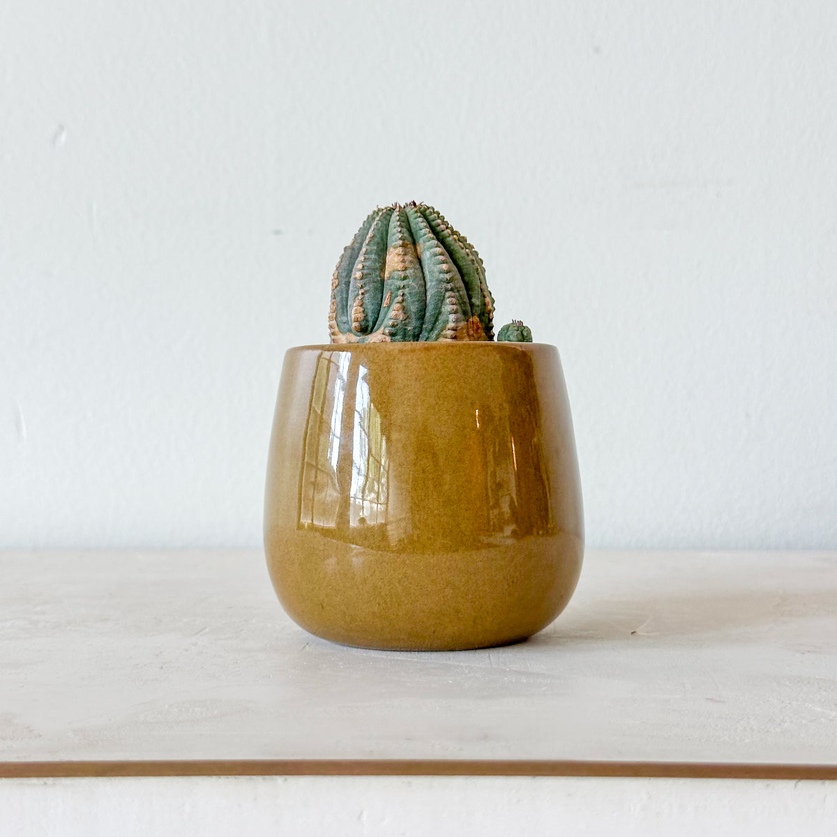 Evangeline Planter