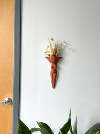 Drippy Terra Cotta Wallflower