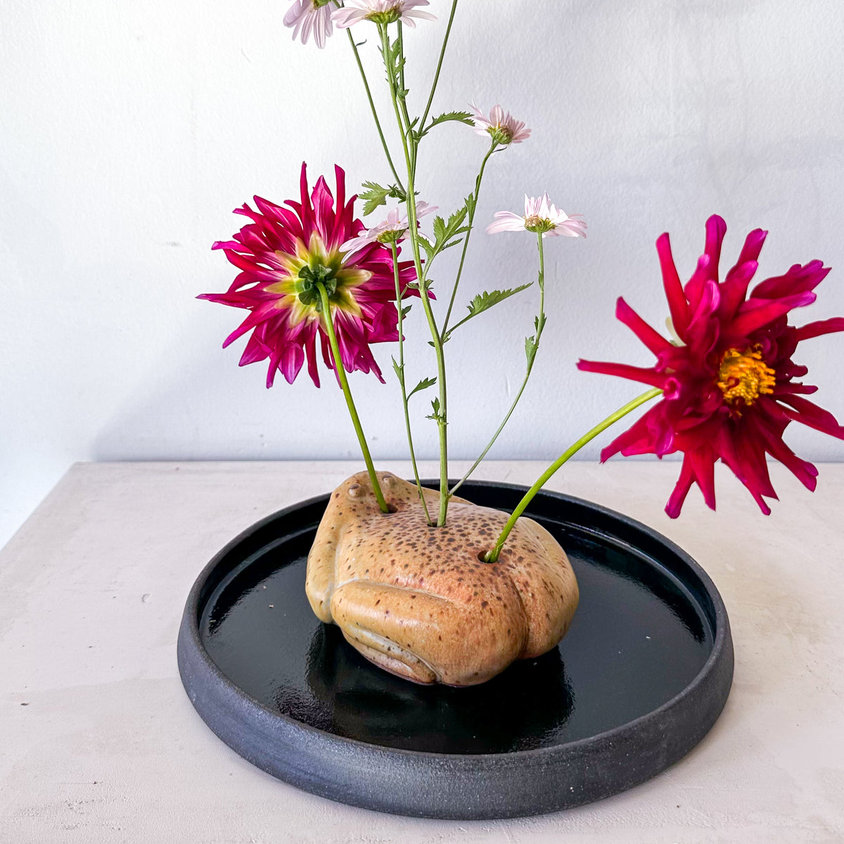 Flower Frog