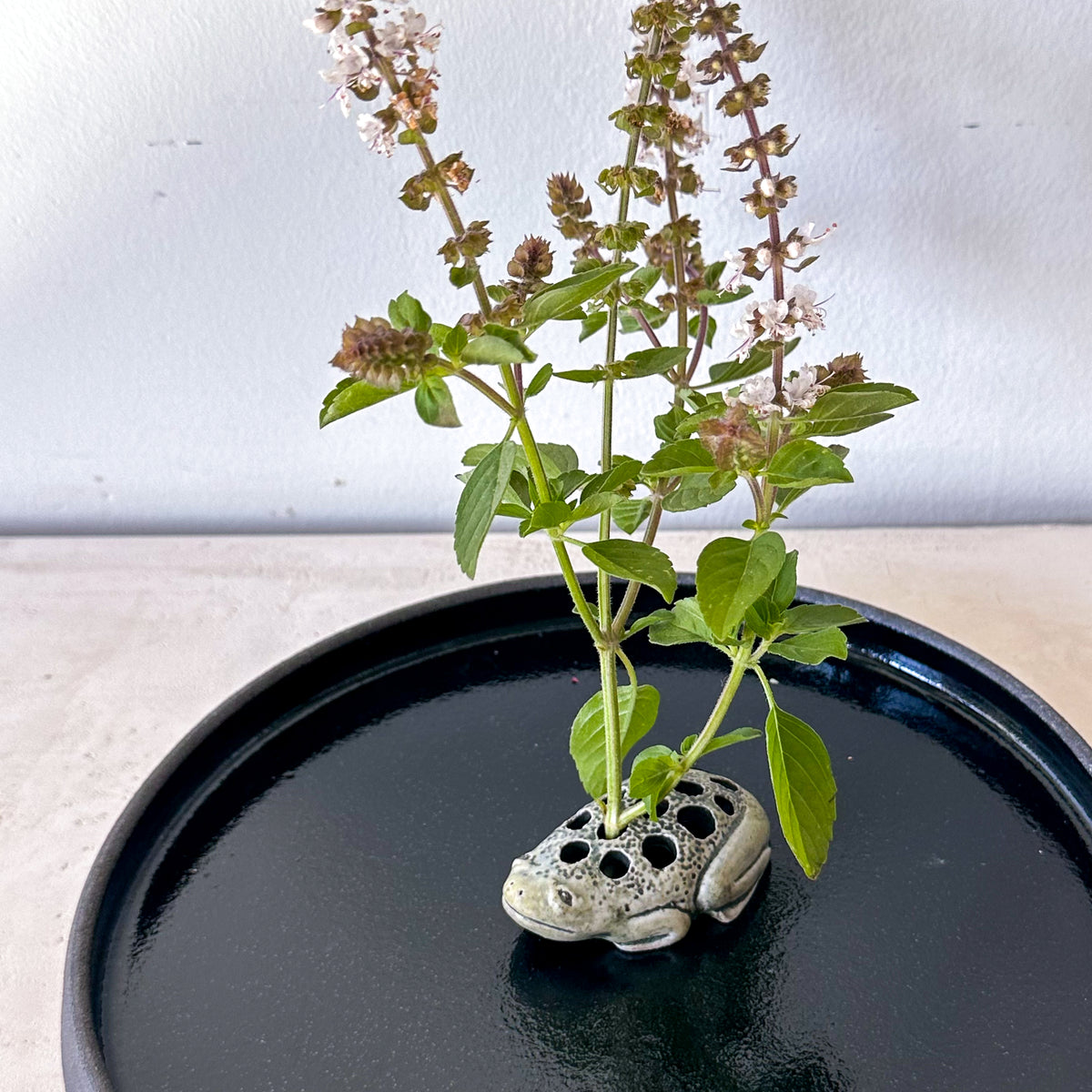 Flower Frog