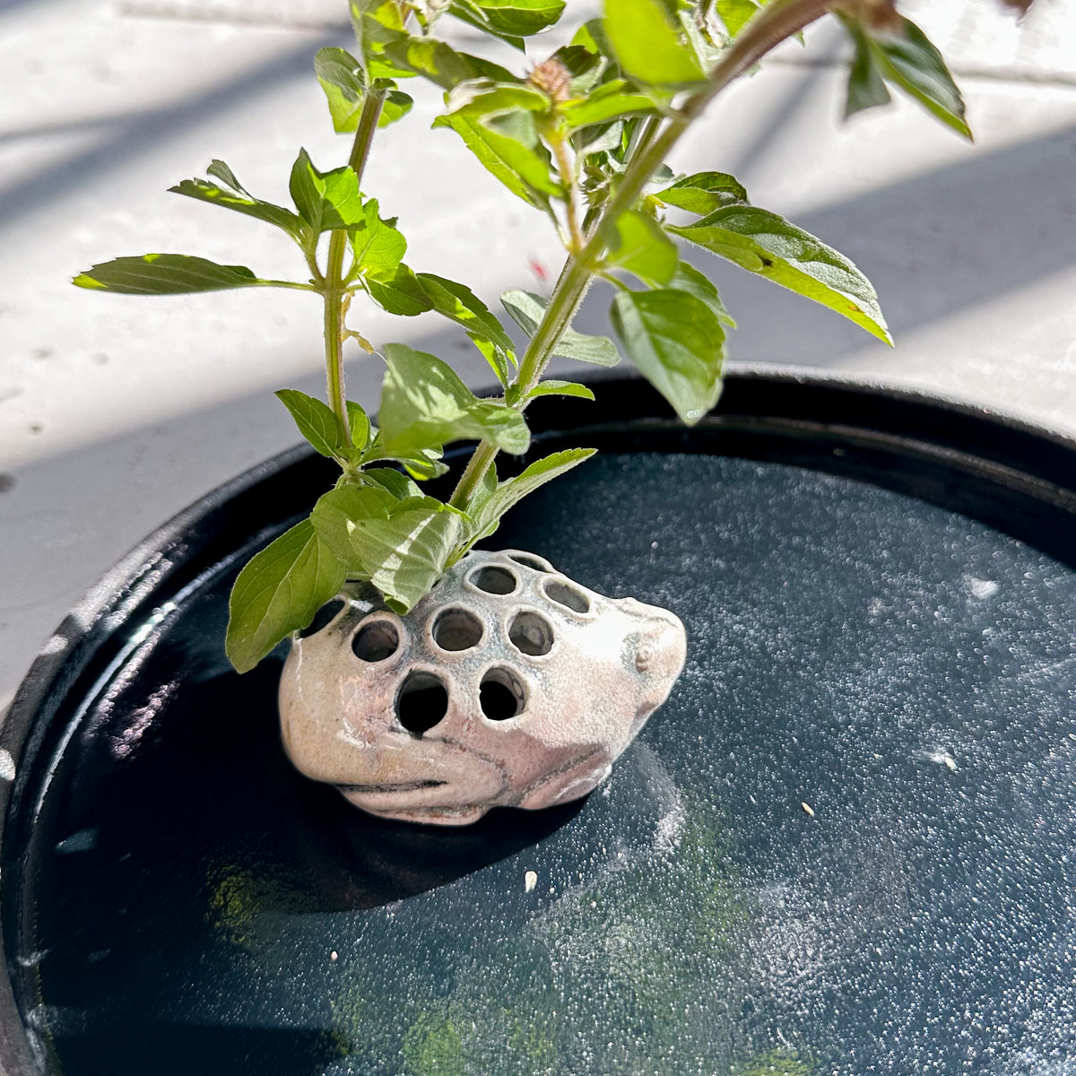 Flower Frog