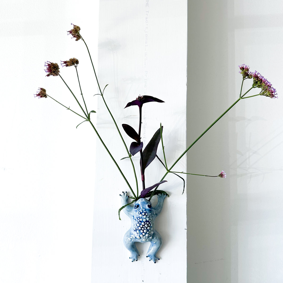 Toadie Wall Vase