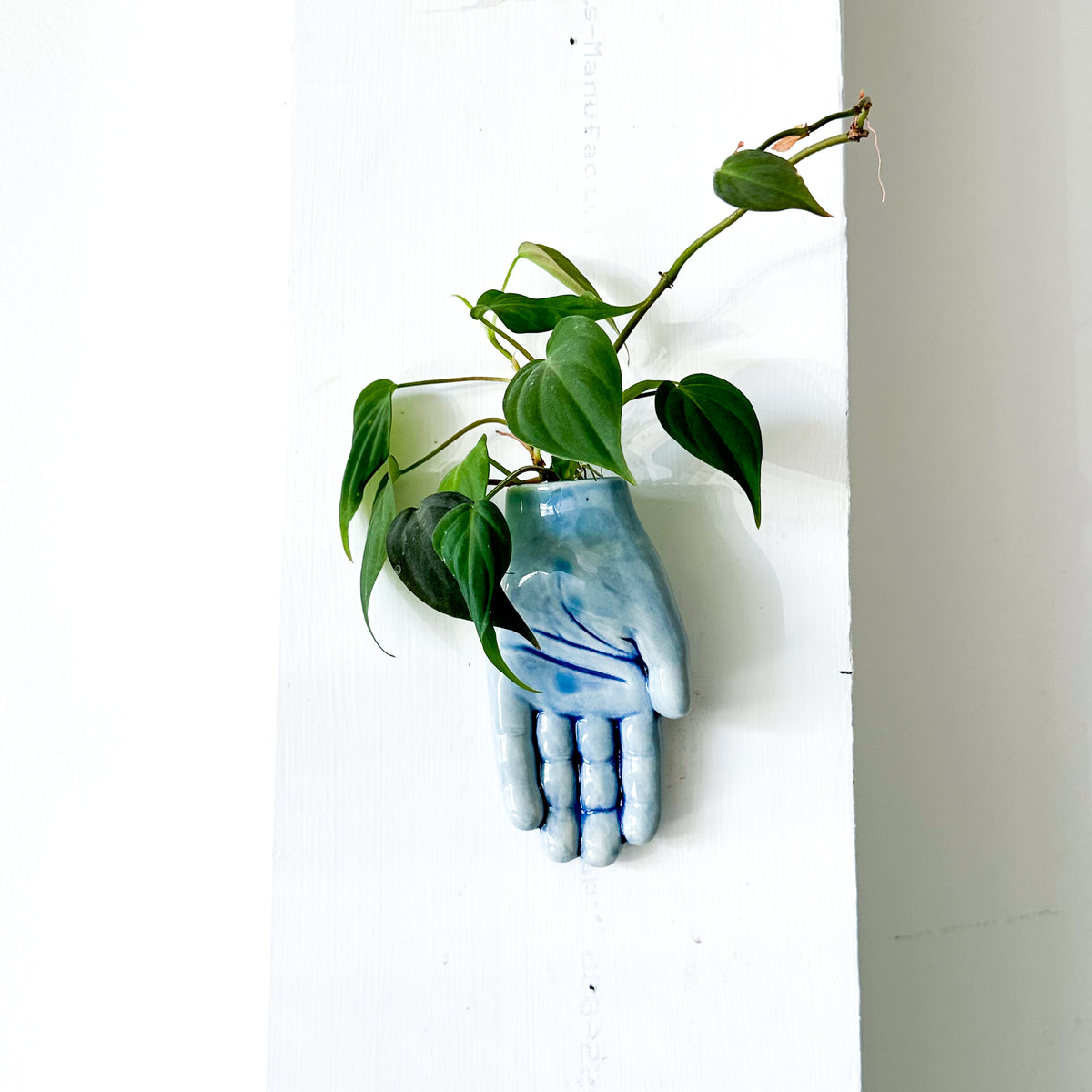 Dandy Hand Wall Vase