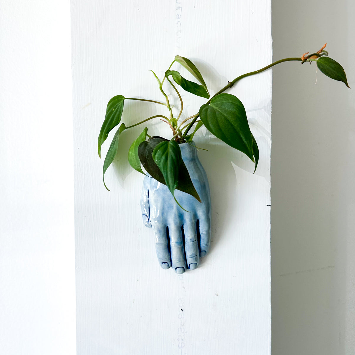 Dandy Hand Wall Vase