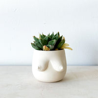 Evangeline Planter