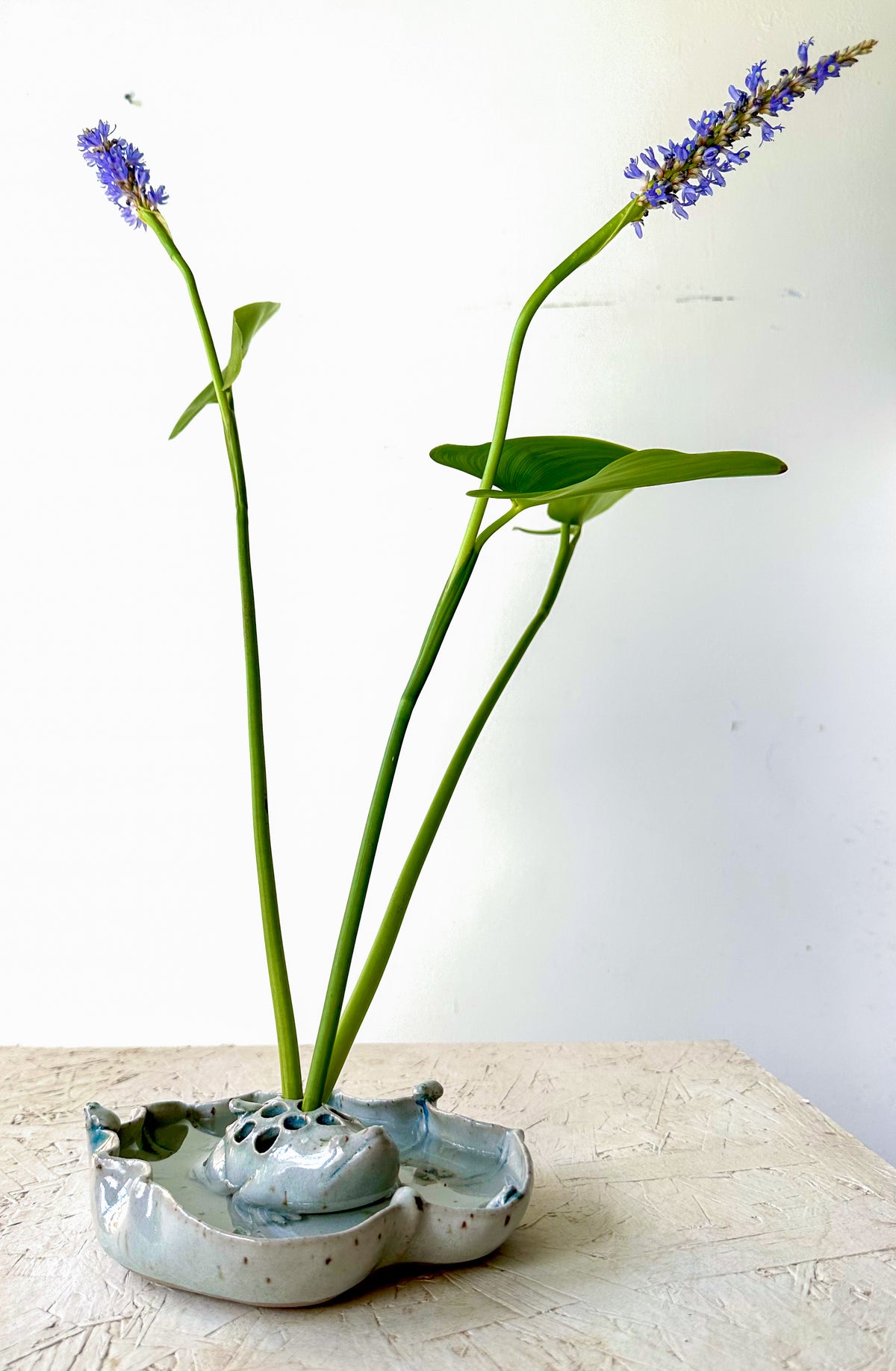 Flower Frog
