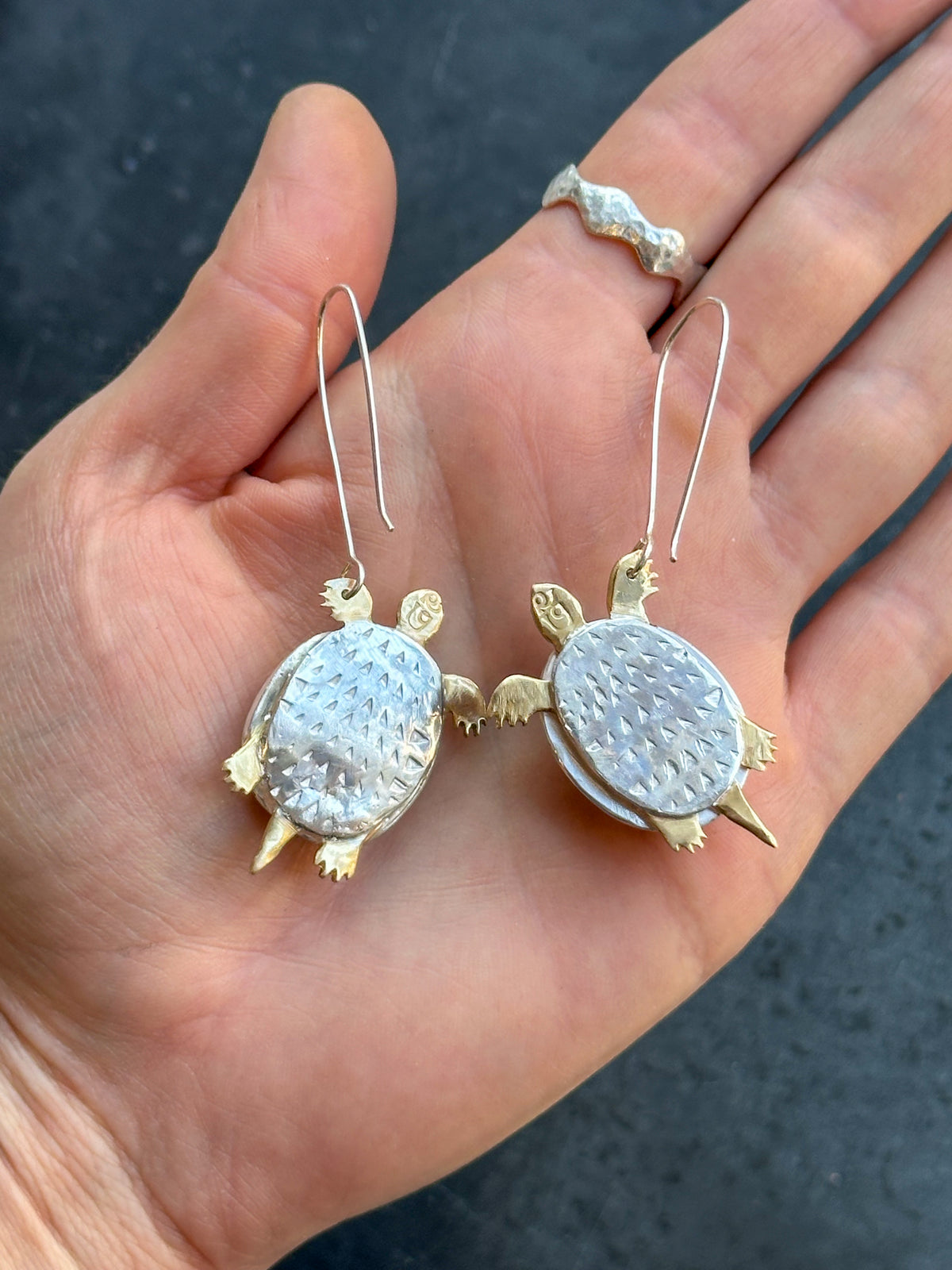 Week 43 — Turtles