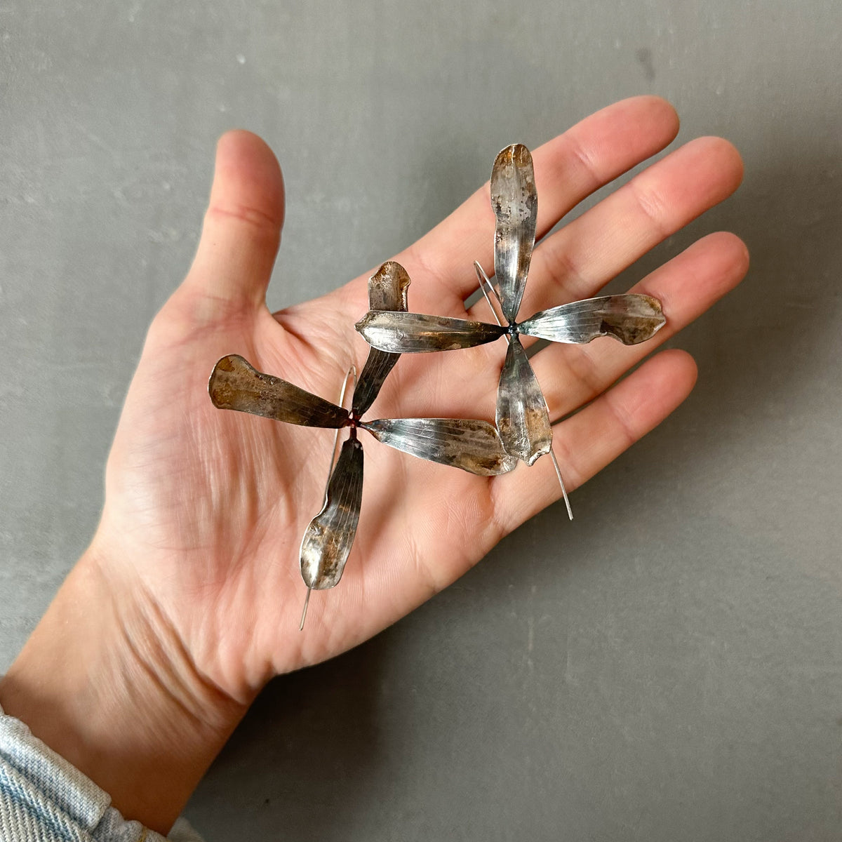 Week 31 — Arugula