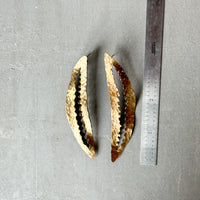 Week 33 — Jagged slits