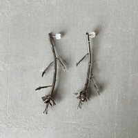 Week 23 — Fresh Cut