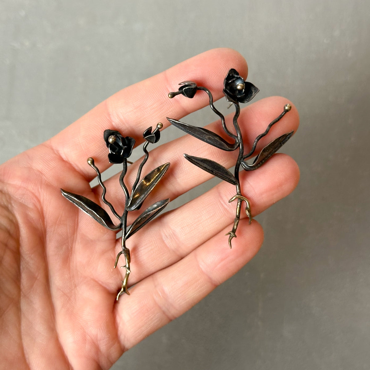 Week 19 — Uprooted