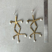 Week 38 — Sea Stars