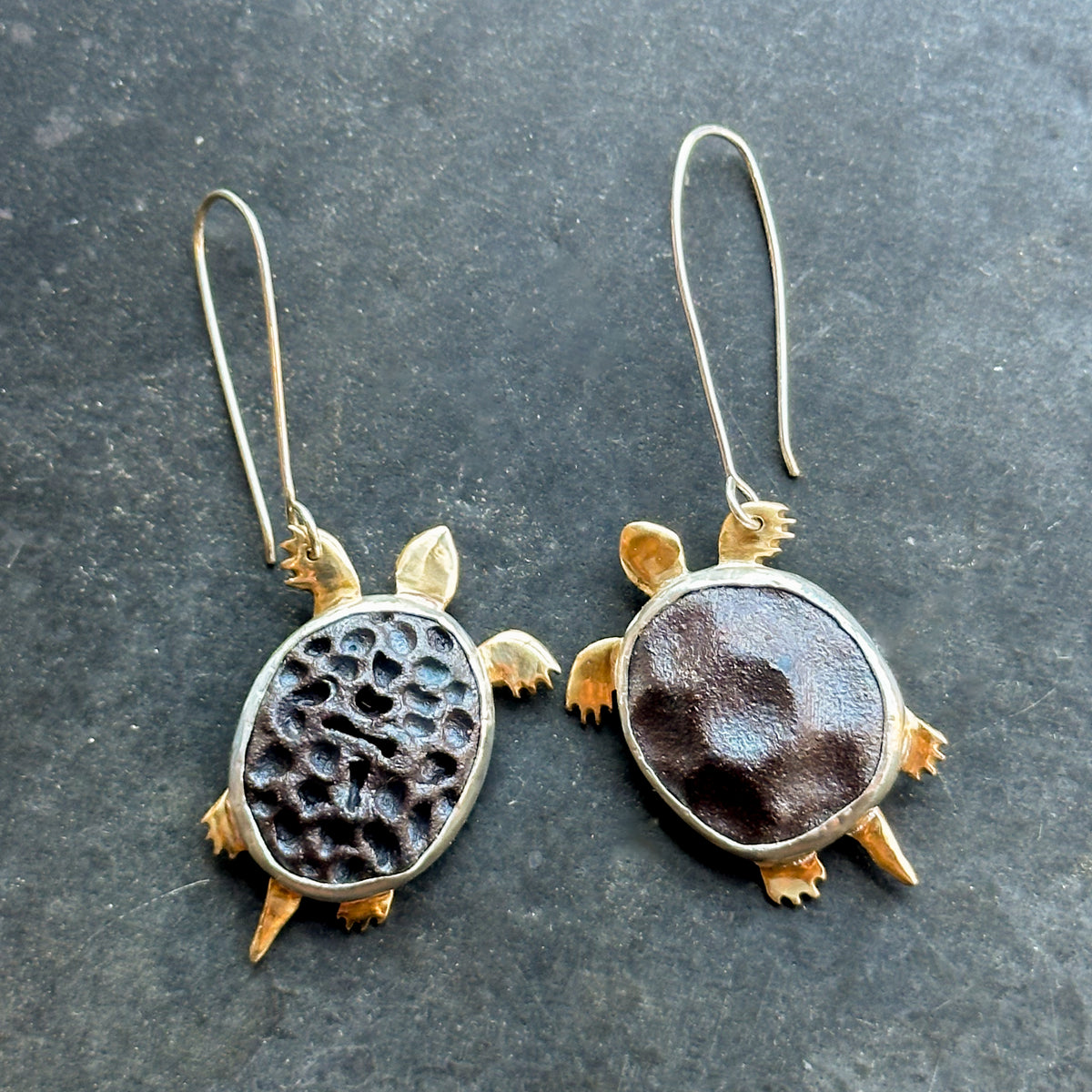 Week 43 — Turtles
