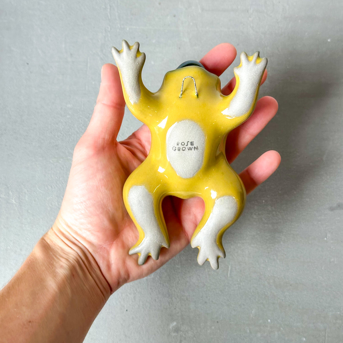 Toadie Wall Vase