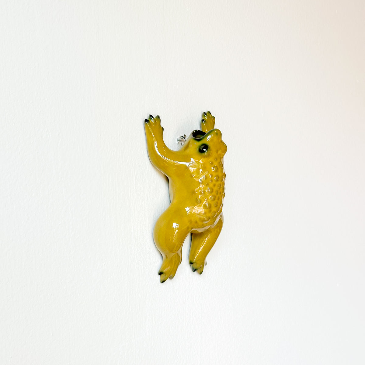 Toadie Wall Vase