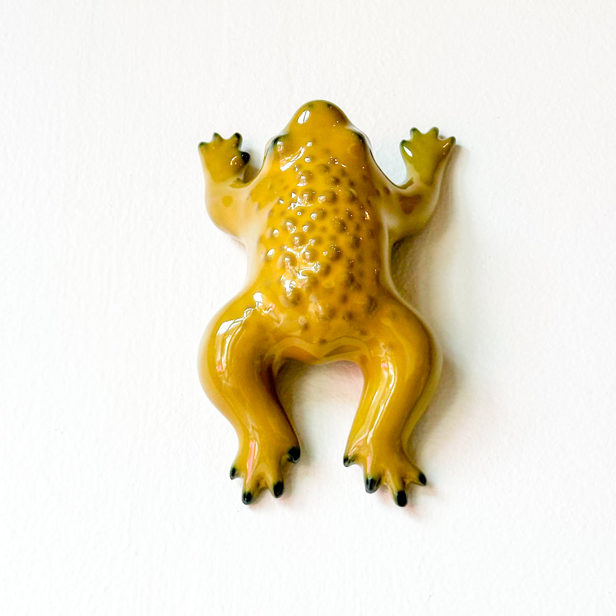 Toadie Wall Vase