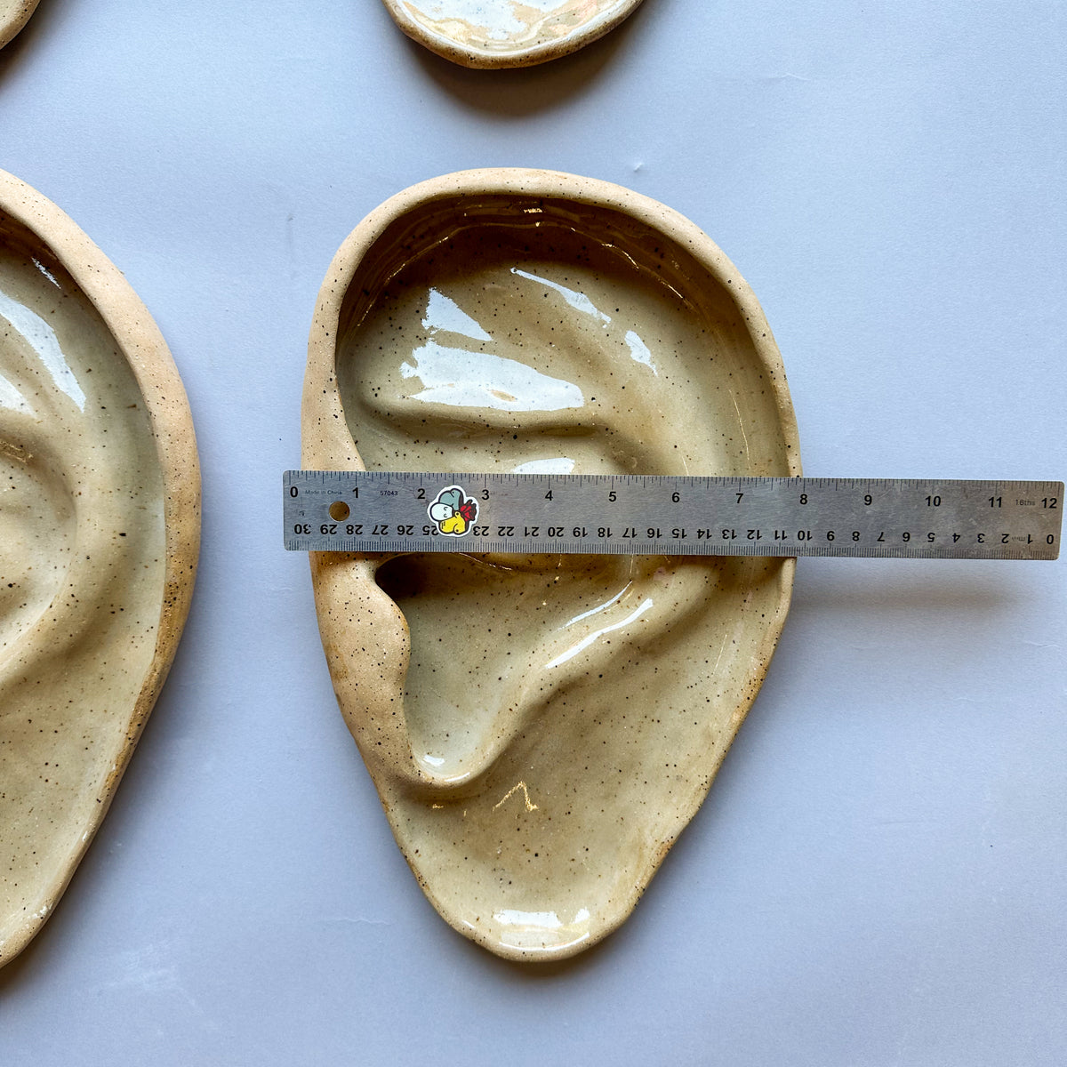 Large Ear