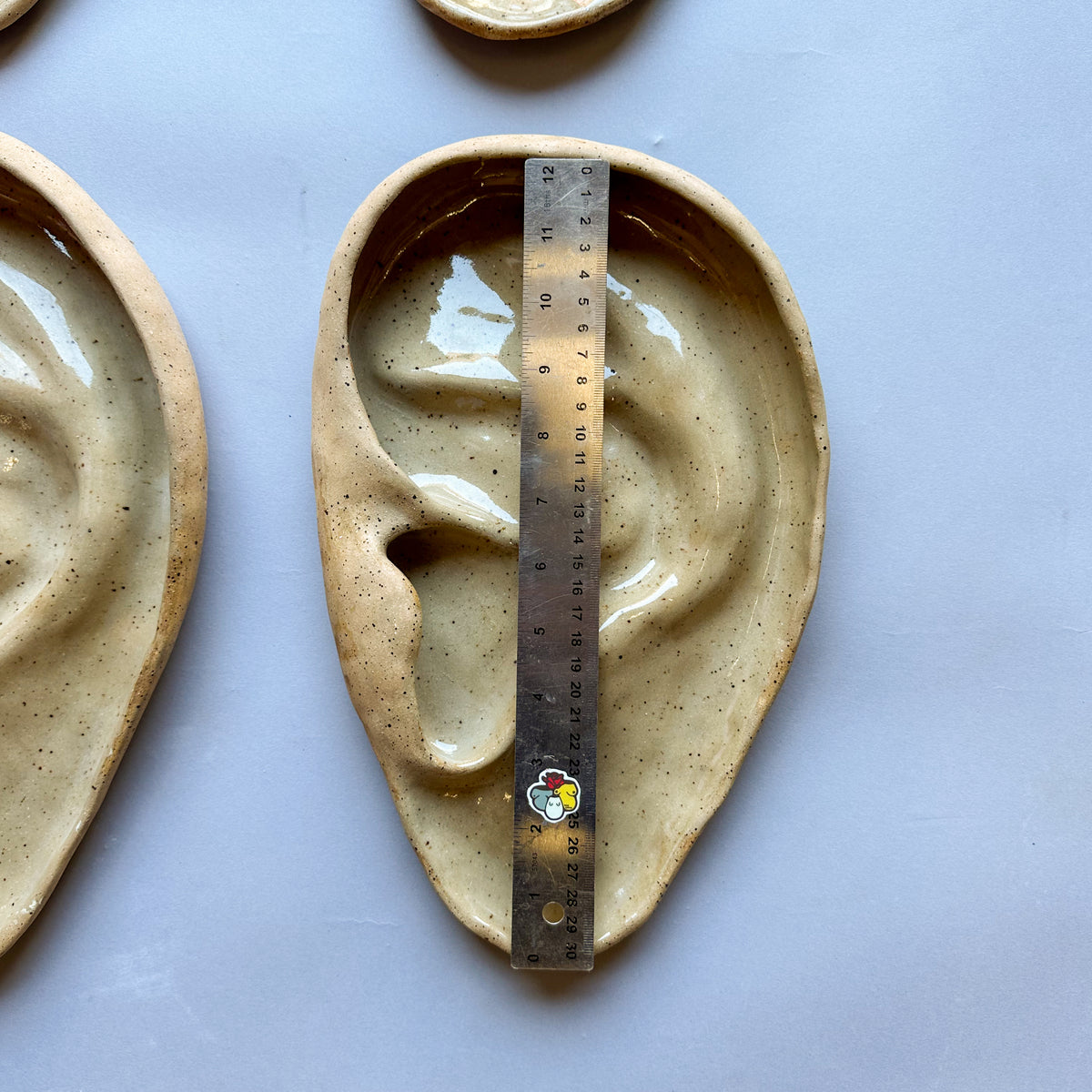 Large Ear
