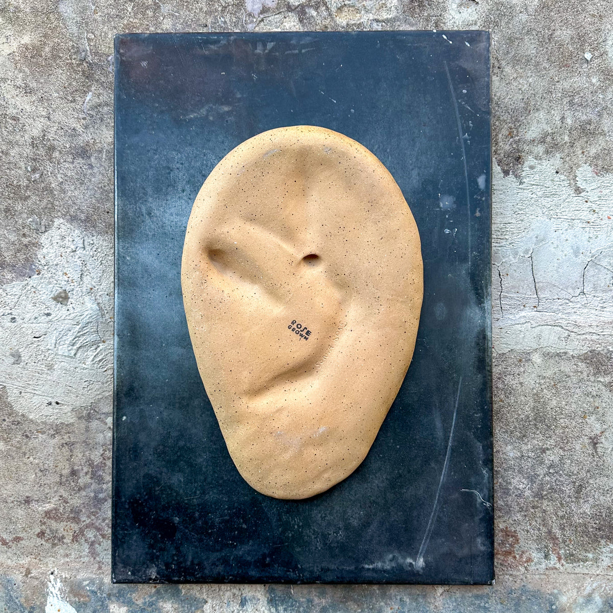 Large Ear