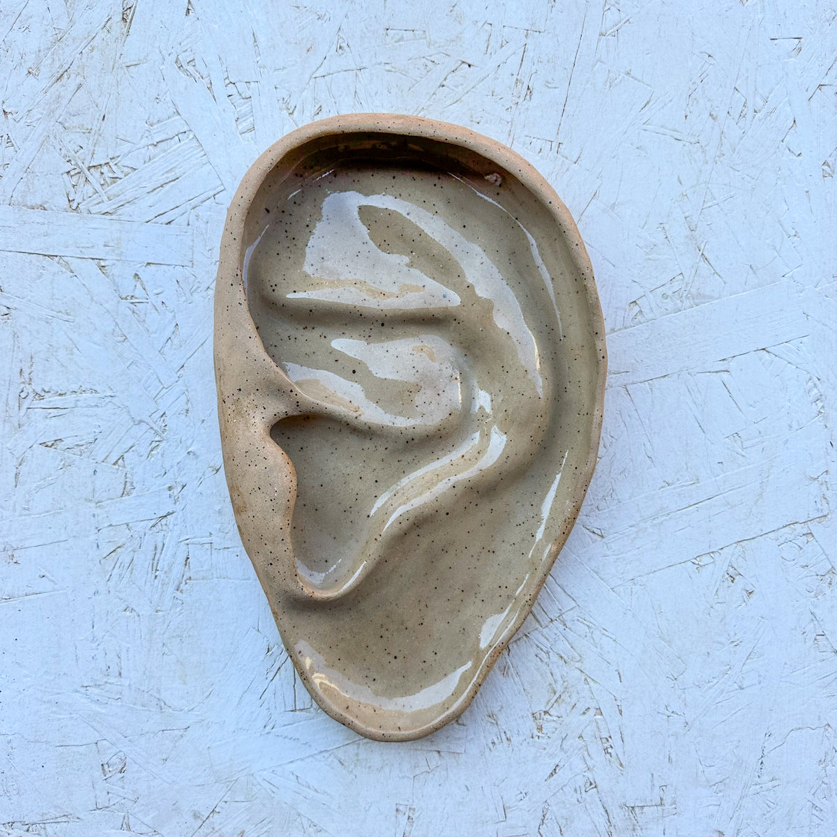 Large Ear