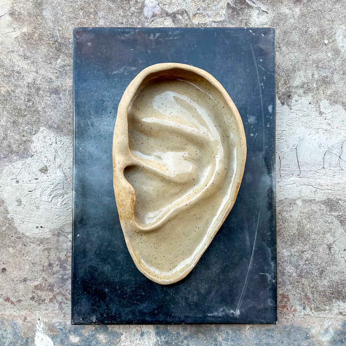 Large Ear