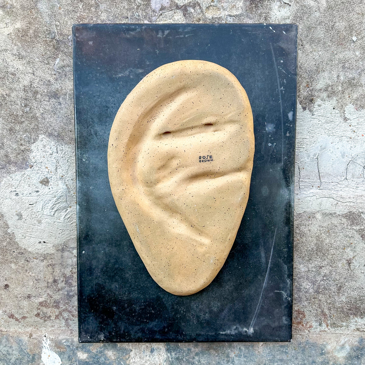 Large Ear
