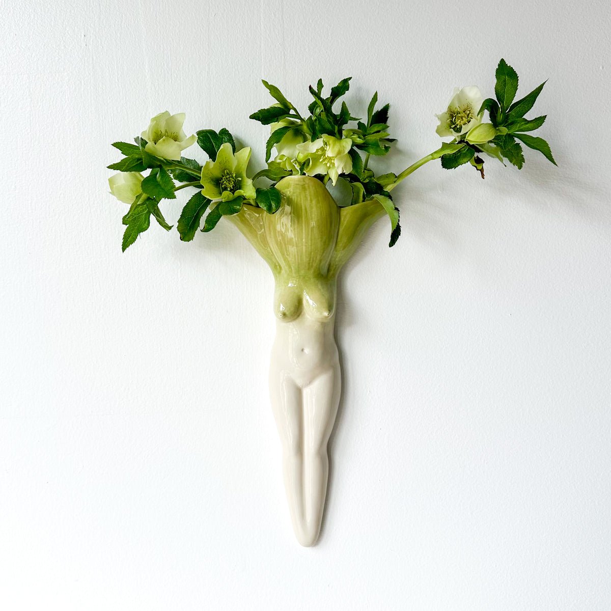 Wallflower 68