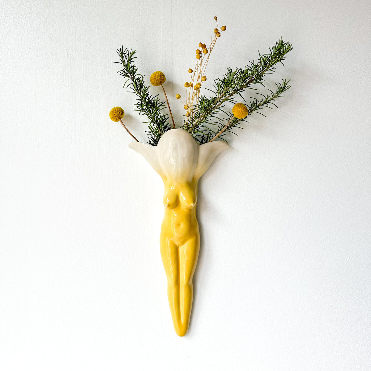 Wallflower 66