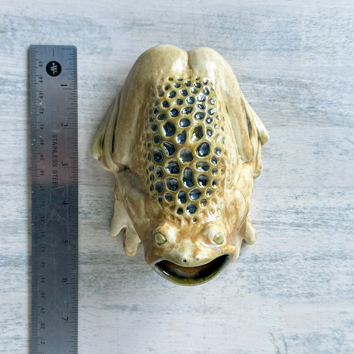 Table Toad