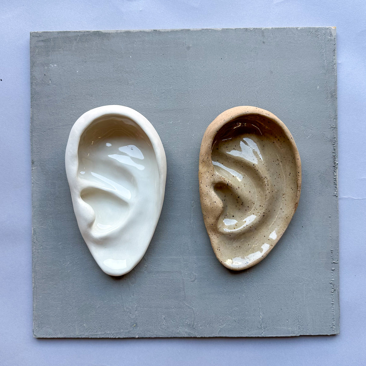 Medium Ear