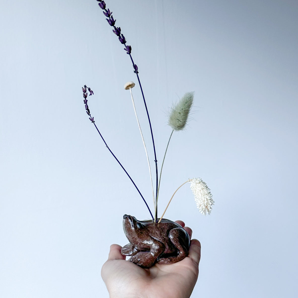 Small Flower Frog