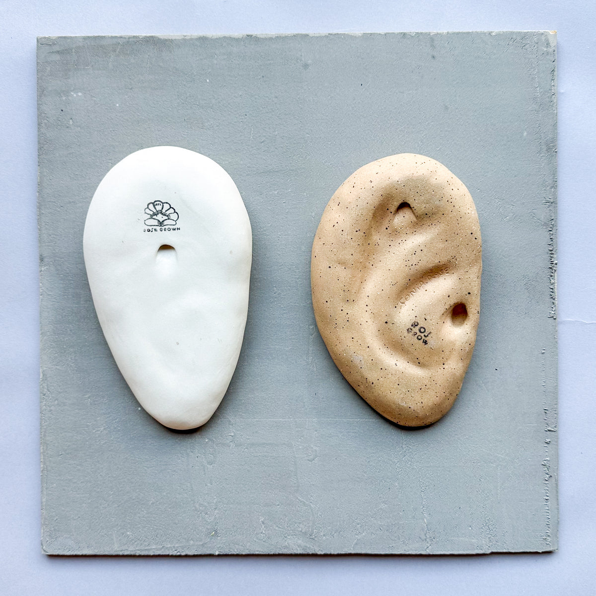 Medium Ear