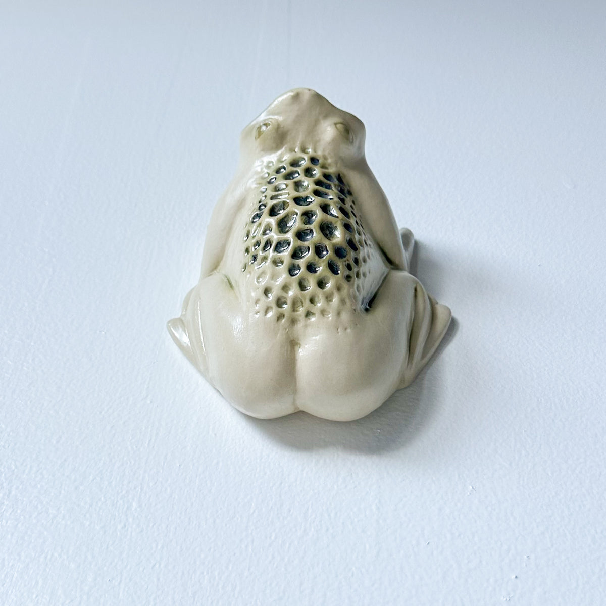Wall Toad