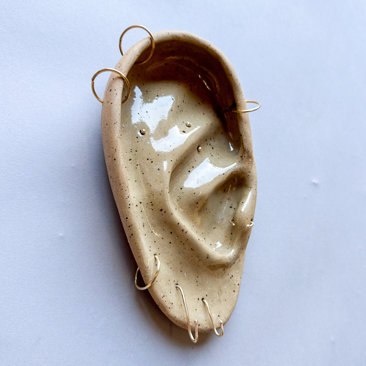 Medium Pierced Ear
