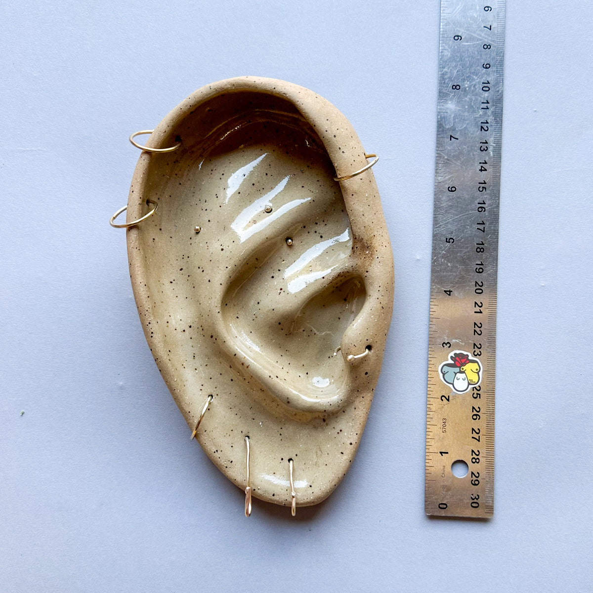 Medium Pierced Ear