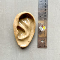 Small Ear