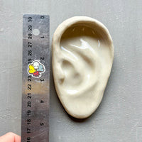 Small Ear