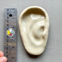 Small Ear