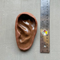 Small Ear
