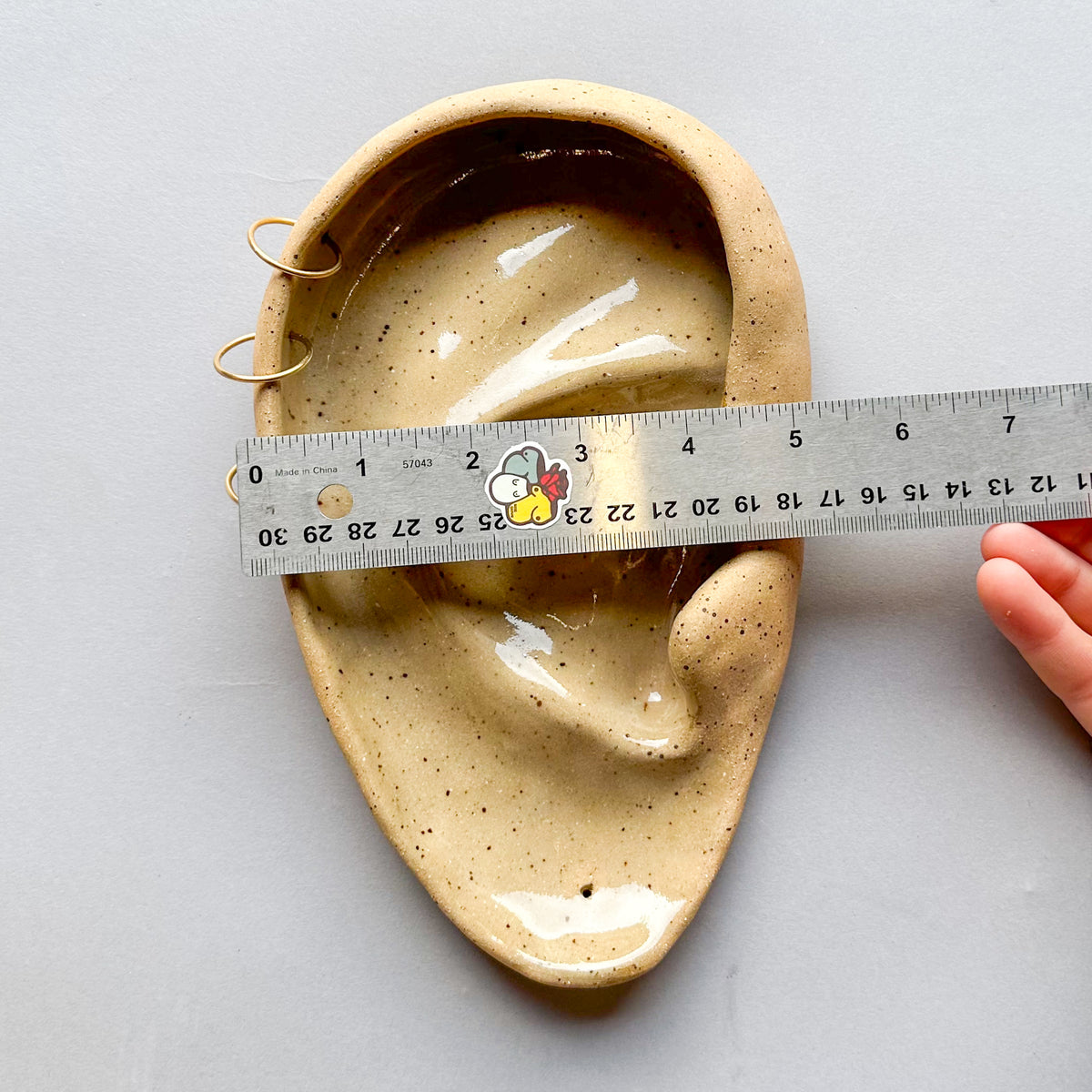 Medium Pierced Ear
