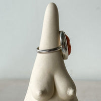 Vulva Ring